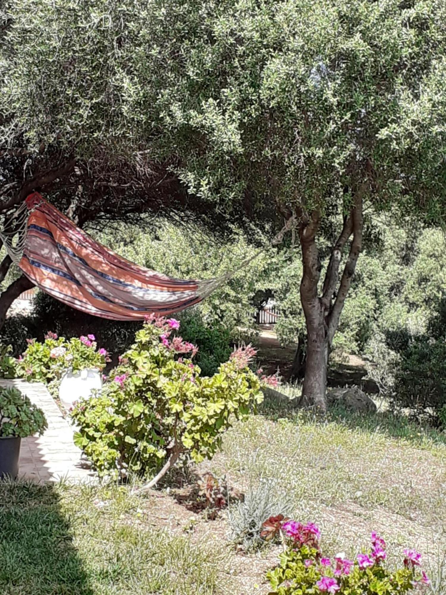 Agriturismo Gli Olivastri Appartamento Corbezzolo Con Piscina E Vista Mare,Climatizzatore,Wifi Альенту Экстерьер фото