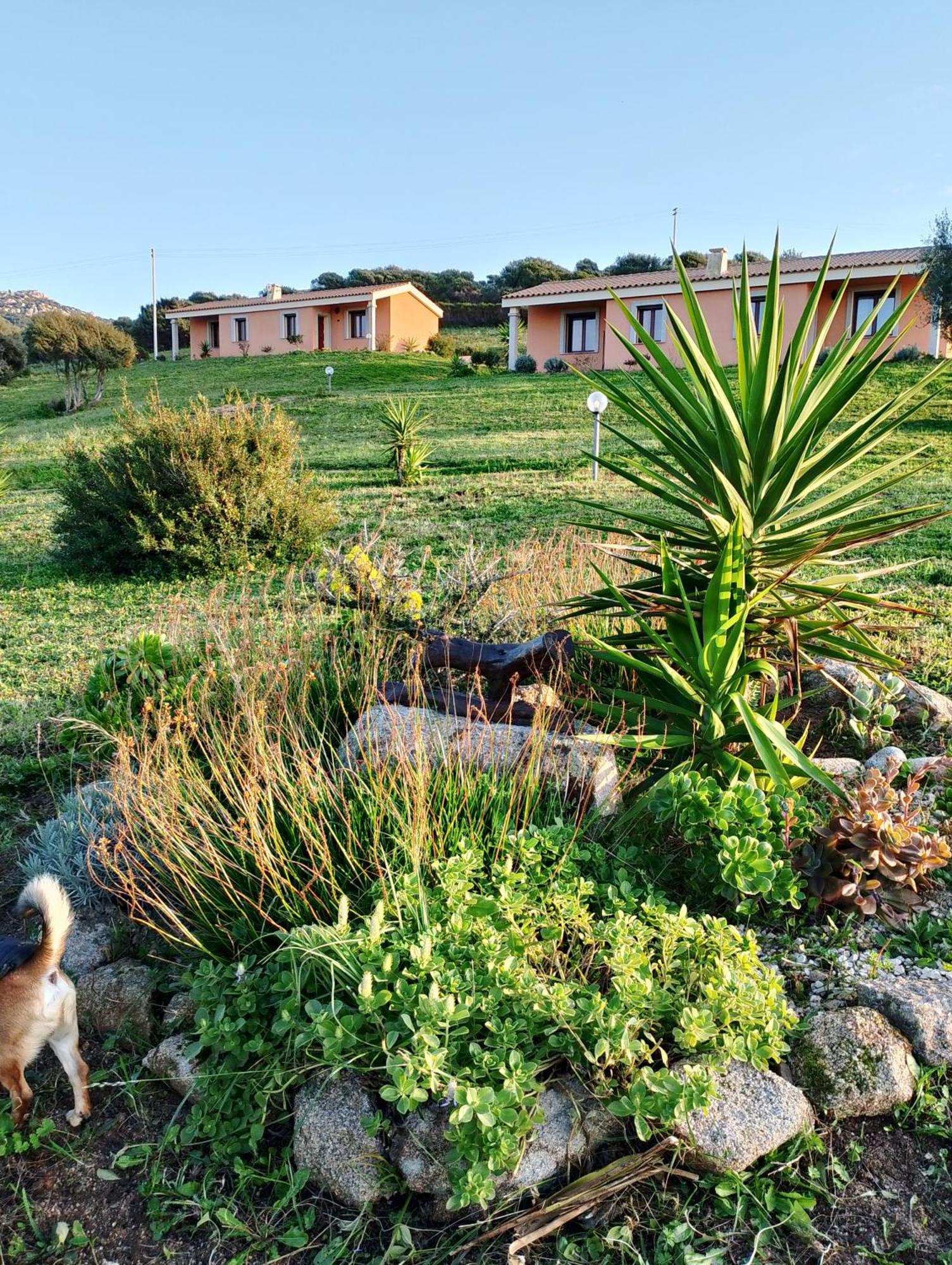Agriturismo Gli Olivastri Appartamento Corbezzolo Con Piscina E Vista Mare,Climatizzatore,Wifi Альенту Экстерьер фото